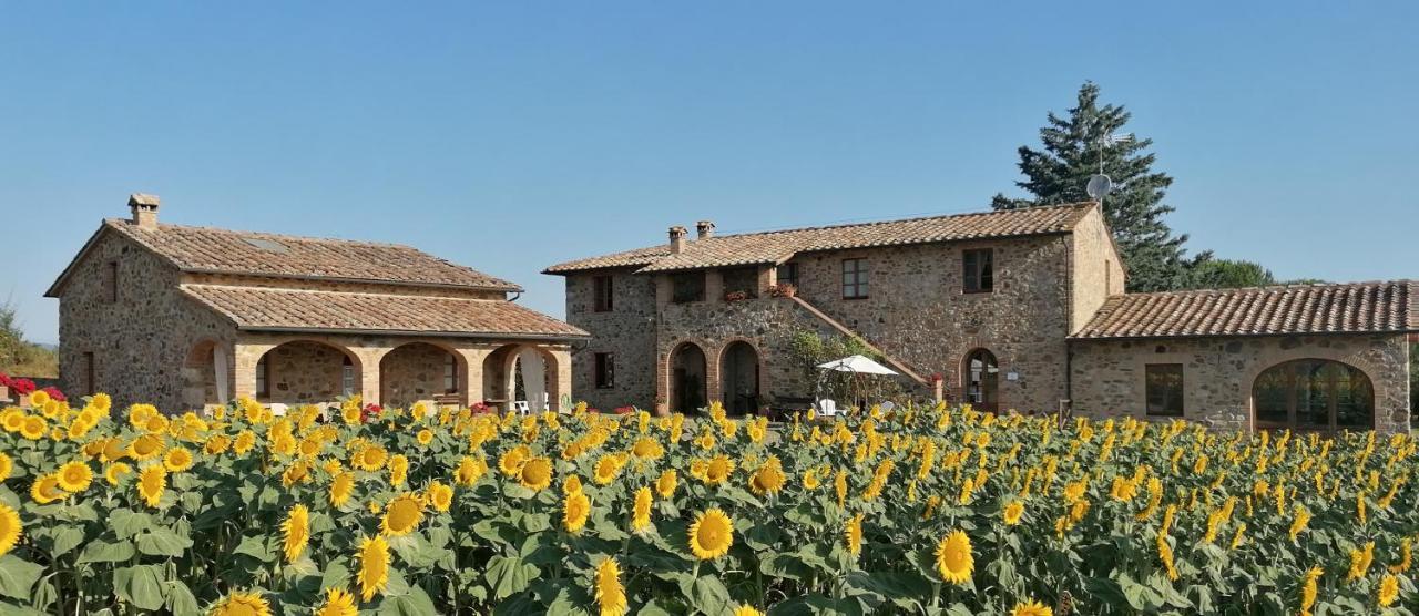 Casetta Della Pina Monticiano Buitenkant foto